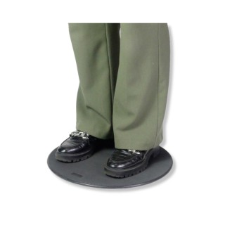 Disque de transfert Eco Disc 2