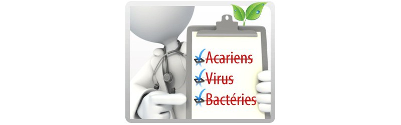 Désinfection Stérilisation